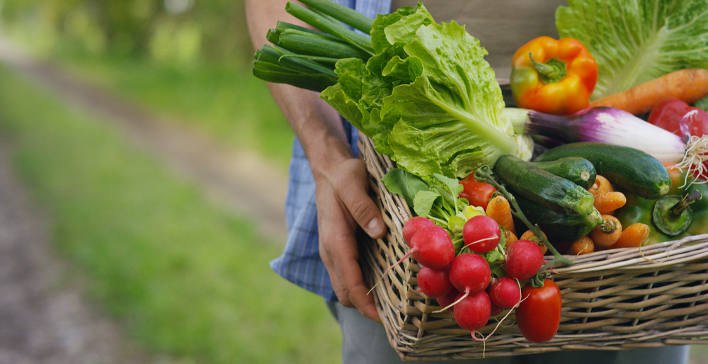 Il cibo biologico è più dannoso per il clima?